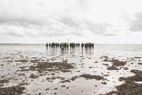 Dánsko – Tulení safari, rybářské městečko a západ slunce na ostrově