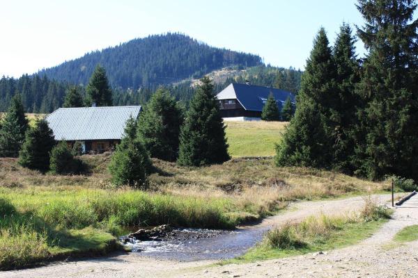 Šumava