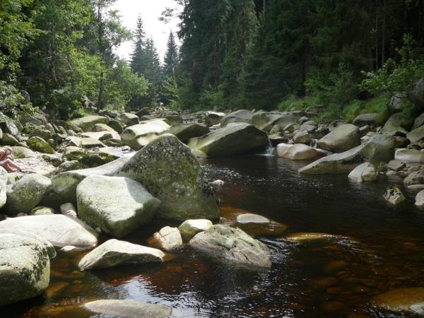 Šumava