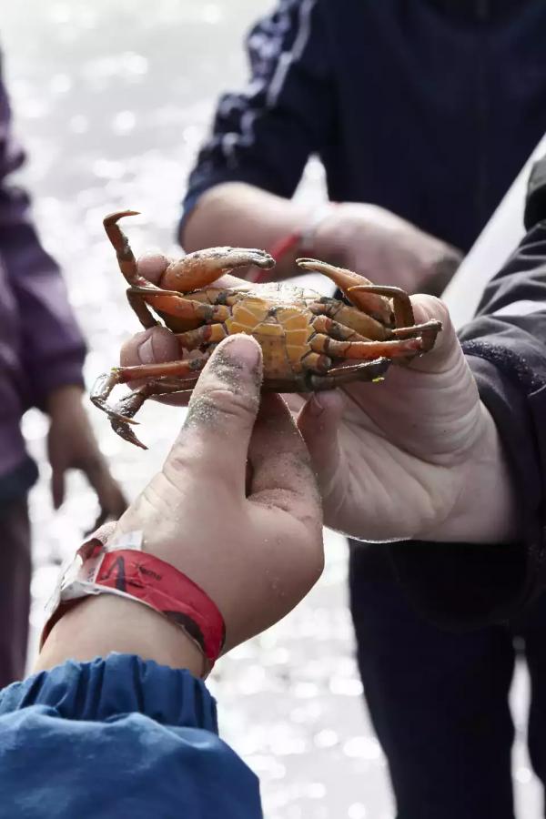 Dánsko - Tuleni, přírodní poklady a vikingská minulost