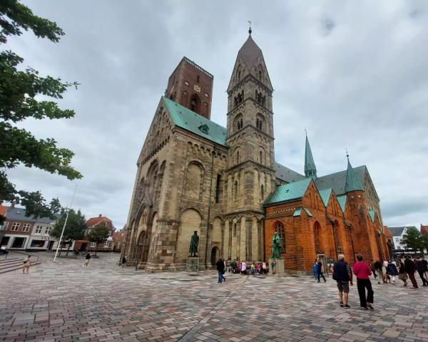 Dánsko – Tulení safari, rybářské městečko a západ slunce na ostrově