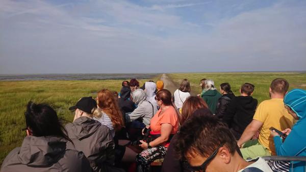 Dánsko – Tulení safari, rybářské městečko a západ slunce na ostrově