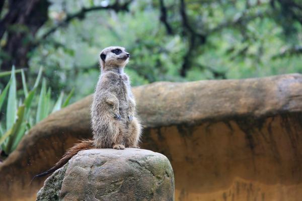 Zoopark Zájezd