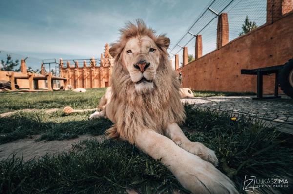 Kontaktní program se zvířaty v ZOO Chleby