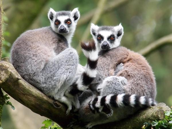 Zoopark Zájezd