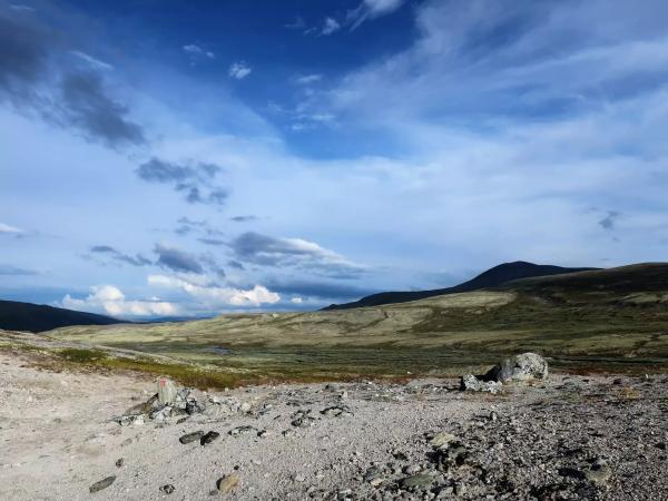 Do Norska za přírodou a papuchalky