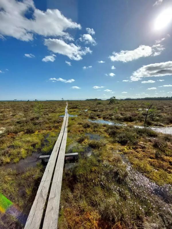 Královské Švédsko – Národní parky a Losí farma