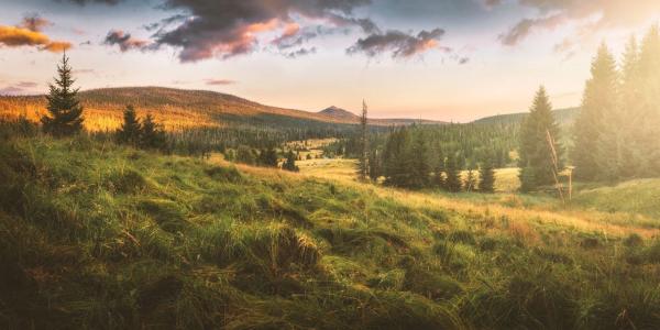 Šumava