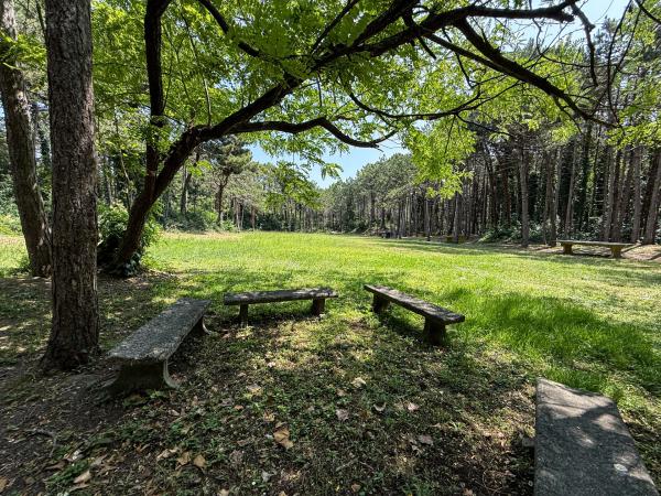 Lignano Sabbiadoro – moře a bazén s tobogány