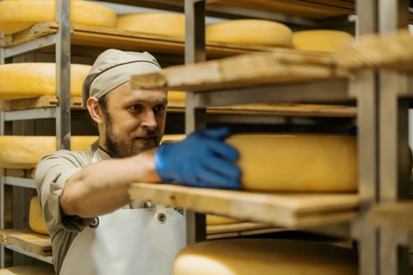 Holandsko – sýrová farma a Amsterdam