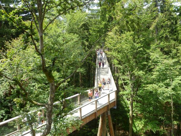 Národní park Bavorský les