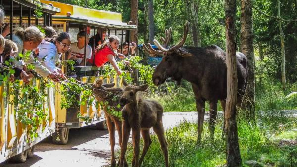 Královské Švédsko – Národní parky a Losí farma