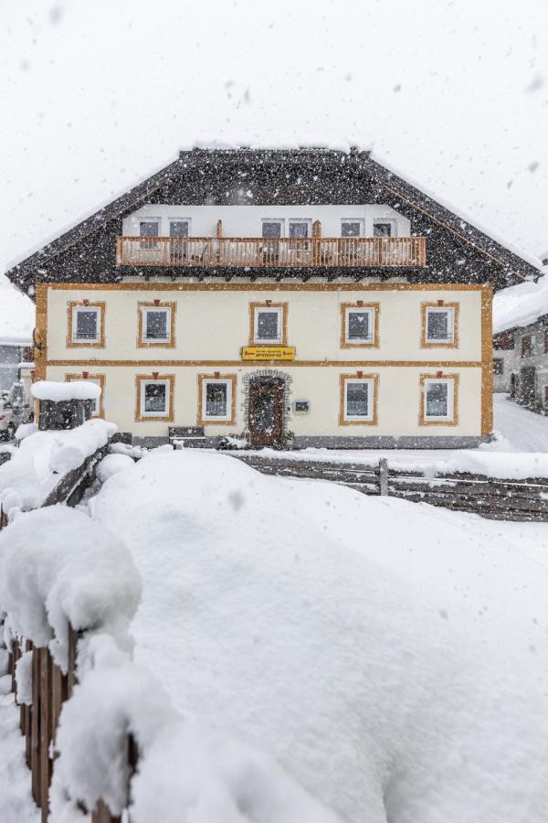 Hotel*** Pension Mentenwirt - Korutany - Katschberg